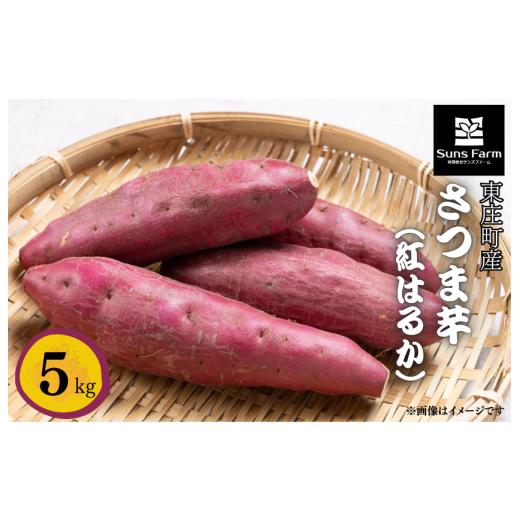 ふるさと納税 野菜類 サツマイモ 千葉県 東庄町 東庄町産 さつま芋(紅はるか) 5kg / さつま芋 さつまいも サツマイモ 薩摩芋 甘藷 唐芋 紅はるか べには…