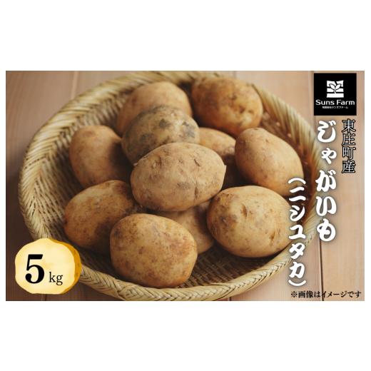 ふるさと納税 野菜類 じゃがいも 千葉県 東庄町 東庄町産 じゃがいも(ニシユタカ) 5kg / じゃがいも ジャガイモ じゃが芋 ニシユタカ 西豊 農薬不使用 化…
