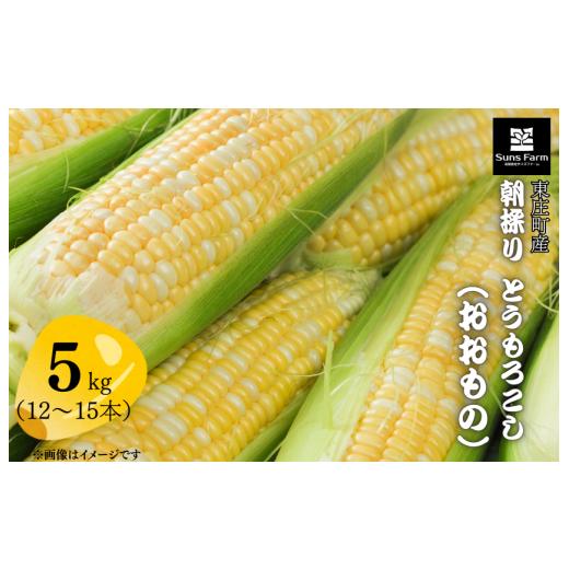 ふるさと納税 とうもろこし 千葉県 東庄町 東庄町産 朝採り とうもろこし(おおもの) 5kg / とうもろこし トウモロコシ おおもの 朝採り 産地直送 千葉県…