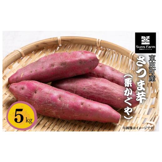 ふるさと納税 野菜類 サツマイモ 千葉県 東庄町 東庄町産 さつま芋(栗かぐや) 5kg / さつま芋 さつまいも サツマイモ 薩摩芋 甘藷 唐芋 栗かぐや くりか…