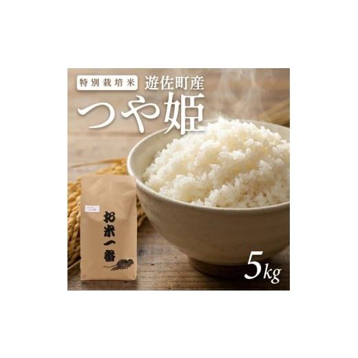 ふるさと納税 米 つや姫 山形県 遊佐町 1330R07M03b 遊佐町産 特別栽培米つや姫5kg(令和7年産米)3月中旬 令和8年3月中旬発送