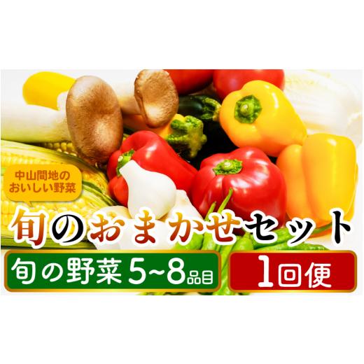 ふるさと納税 セット・詰合せ 徳島県 三好市 野菜 詰め合わせ おまかせ セット 5〜8品目 80サイズ 旬の野菜 1回便 スイートコーン サニーレタス インゲン 白菜…