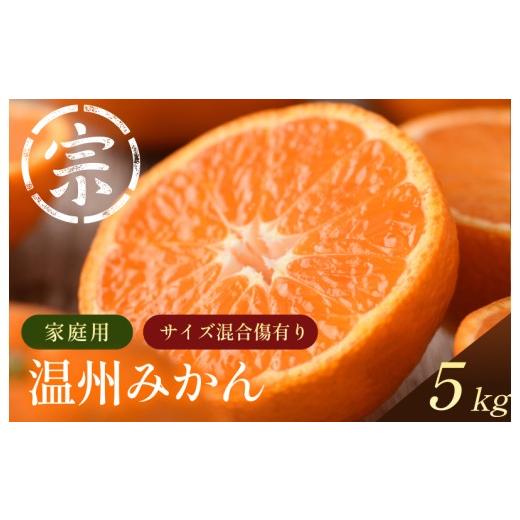 ふるさと納税 果物類 みかん 愛媛県 今治市 先行予約 温州みかん(家庭用)約5kg K003650K5 2026年11月上旬〜2027年1月中旬に順次発送予定 愛媛県 今治市 先…