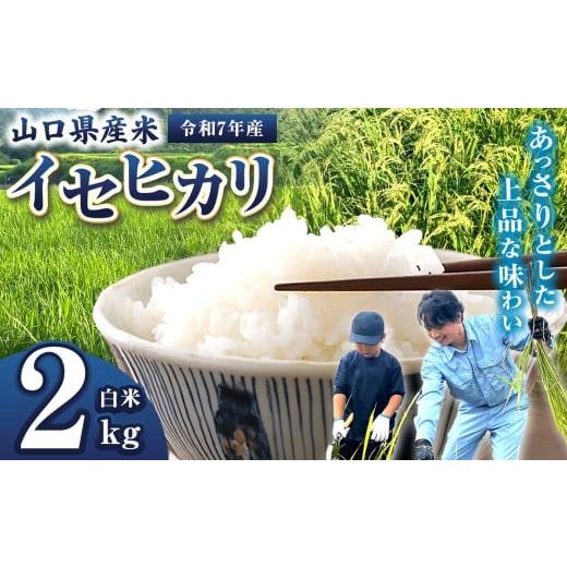 ふるさと納税 米 山口県 平生町 令和7年産 山口県産米 イセヒカリ 2kg | 令和7年産 イセヒカリ 山口県産米 こめ お米 コメ 白米 山口県 平生町 2kg