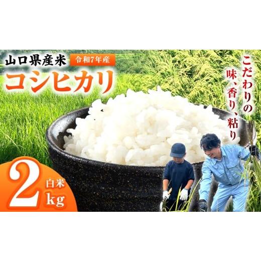 ふるさと納税 米 コシヒカリ 山口県 平生町 令和7年産 山口県産米 コシヒカリ 2kg | 令和7年産 コシヒカリ 山口県産米 こめ お米 コメ 白米 山口県 平生町 2k…