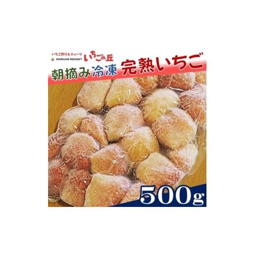 ふるさと納税 いちご 愛知県 美浜町 まるは食堂 マルハリゾート いちごの丘 『訳あり』 完熟 冷凍いちご 500g | 訳あり いちご イチゴ 冷凍 国産 完熟 スムー…