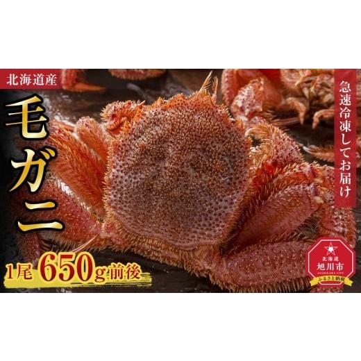 ふるさと納税 カニ 毛ガニ 北海道 旭川市 北海道産毛ガニ1尾 650g前後_05581