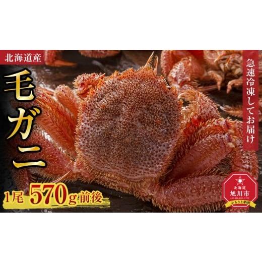 ふるさと納税 カニ 毛ガニ 北海道 旭川市 北海道産毛ガニ1尾 570g前後_05580
