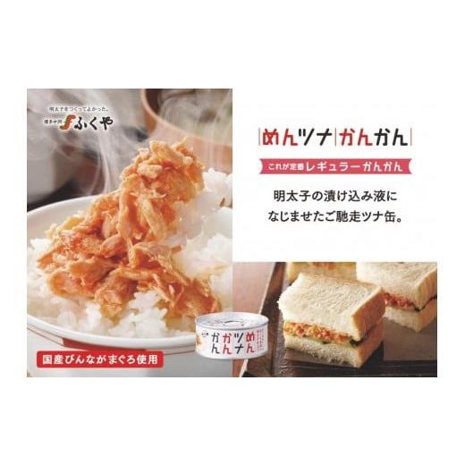 ふるさと納税 缶詰・瓶詰 魚貝類 静岡県 静岡市 ふくや めんツナかんかん レギュラー ×48缶 レギュラー×48缶