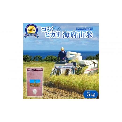 ふるさと納税 米 コシヒカリ 新潟県 佐渡市 佐渡産コシヒカリ海府山米 5kg