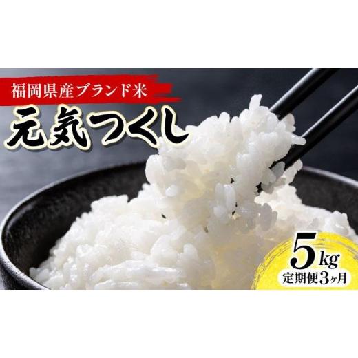 ふるさと納税 米 福岡県 大木町 3ヶ月定期便 福岡県産米 元気つくし 5kg 精米 令和7年産 北海道・沖縄・離島は配送不可 精米 7年産 国産 福岡県産 お米 ブラ…