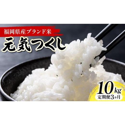ふるさと納税 米 福岡県 大木町 3ヶ月定期便 福岡県産米 元気つくし 10kg 令和7年産 北海道・沖縄・離島は配送不可 精米 7年産 国産 福岡県産 お米 ブランド…