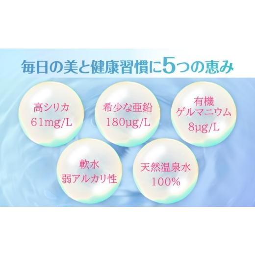ふるさと納税 水・ミネラルウォーター 500mL〜999mL 大分県 日田市  全3回定期便 天然温泉水RYUSEKI 500ml×24本−ペットボトル　日田市 ／ 株式会社竜石 温泉…_2