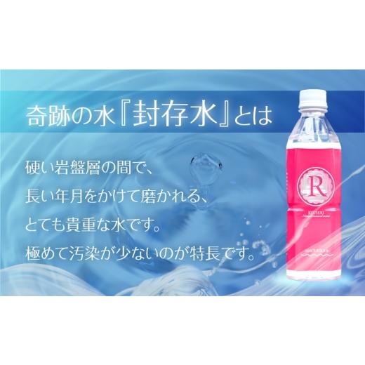 ふるさと納税 水・ミネラルウォーター 500mL〜999mL 大分県 日田市  全3回定期便 天然温泉水RYUSEKI 500ml×24本−ペットボトル　日田市 ／ 株式会社竜石 温泉…_4