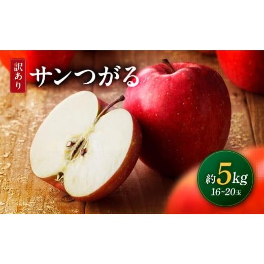 ふるさと納税 りんご 長野県 飯田市 2026年先行予約 南信州産 サンつがる 約5kg 訳あり 16〜20玉 | サンつがる 林檎 りんご リンゴ 果物 くだもの フルーツ …