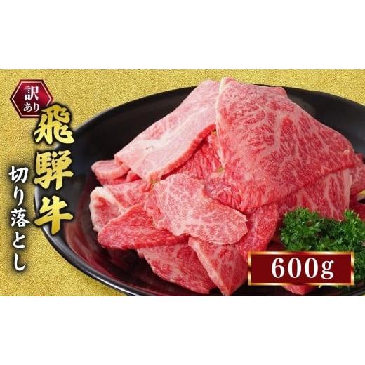 ふるさと納税 牛肉 焼肉・バーベキュー 岐阜県 瑞穂市 訳あり 飛騨牛 焼き肉用 切り落とし 600g | 牛 牛肉 焼肉 BBQ バーベキュー 切り落とし 訳アリ 国産 お…