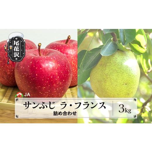 ふるさと納税 果物の詰合せ 山形県 尾花沢市 先行予約 サンふじ&ラ・フランス詰め合わせ 約3kg 11月上旬〜12月上旬頃発送 令和8年産 2026年産 りんご サンふ…