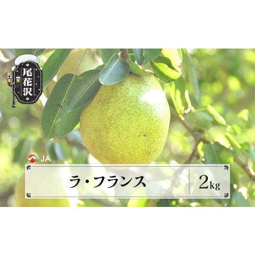 ふるさと納税 梨 山形県 尾花沢市 先行予約 ラ・フランス 約2kg 秀以上 11月上旬〜11月中旬頃発送 令和8年産 2026年産 ラフランス 梨 洋梨 果物 フルーツ 山形…