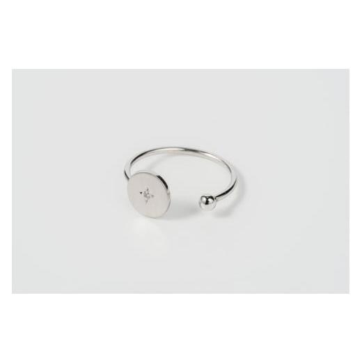 ふるさと納税 アクセサリー リング 岩手県 一関市 プラチナ コインリング 鏡面仕上げ ダイヤモンド付き sese urban mining jewelry 指輪 ジュエリー レディー…