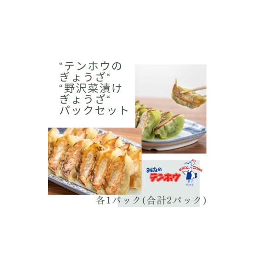 ふるさと納税 餃子 長野県 諏訪市 ぎょうざ食べ比べセット ぎょうざ・野沢菜漬けぎょうざセット パック入り/冷凍生 各1パック 合計2パック / テンホウ ぎょ…