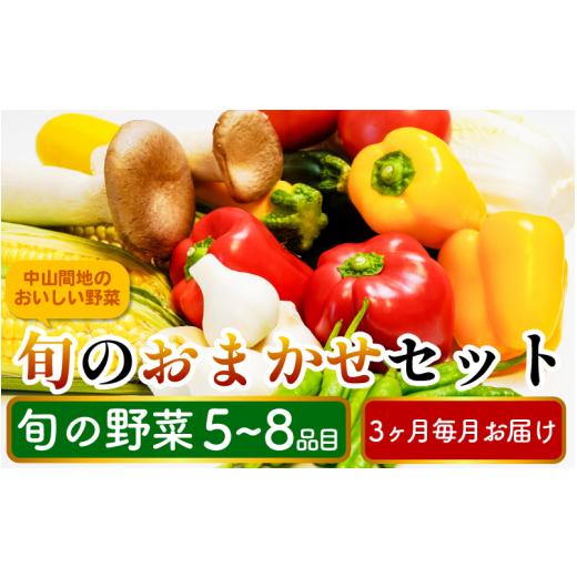 ふるさと納税 セット・詰合せ 徳島県 三好市 野菜 詰め合わせ おまかせ セット 5〜8品目 80サイズ 旬の野菜 定期便 3回 スイートコーン サニーレタス インゲン…