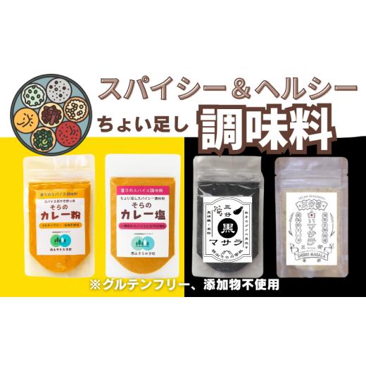ふるさと納税 塩・だし ハーブ・風味付き 徳島県 三好市 カレー スパイス 4種類 セット カレー粉 カレー塩 白いマサラ 黒いマサラ パウダー 薬膳 健康 カレー…