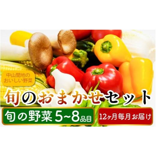 ふるさと納税 セット・詰合せ 徳島県 三好市 野菜 詰め合わせ おまかせ セット 5〜8品目 80サイズ 旬の野菜 定期便 12回 スイートコーン サニーレタス インゲ…