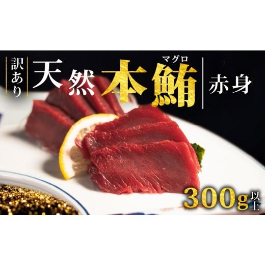 ふるさと納税 旬の鮮魚等 岩手県 大船渡市 スピード発送 天然本まぐろ 赤身 300g以上 訳あり まぐろ 刺身 さしみ 刺し身 鮮魚 まぐろ赤身 鮪 魚介 魚 マグロ …
