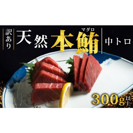 ふるさと納税 旬の鮮魚等 岩手県 大船渡市 スピード発送 天然本まぐろ 中トロ 300g以上 訳あり まぐろ トロ 刺身 さしみ 刺し身 鮮魚 まぐろ中トロ 鮪 魚介 …