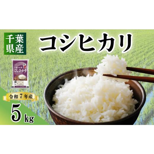 ふるさと納税 米 千葉県 銚子市 令和7年産 米 コシヒカリ 5kg お米 新米 こしひかり コメ ご飯 おこめ 千葉県産 ライス ブランド米 精米 白米 風味 お米 美味…