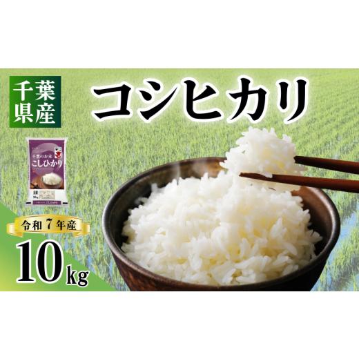 ふるさと納税 米 千葉県 銚子市 令和7年産 米 コシヒカリ 10kg お米 新米 こしひかり コメ ご飯 千葉県産 ライス ブランド米 精米 白米 風味 甘み お米 美味し…