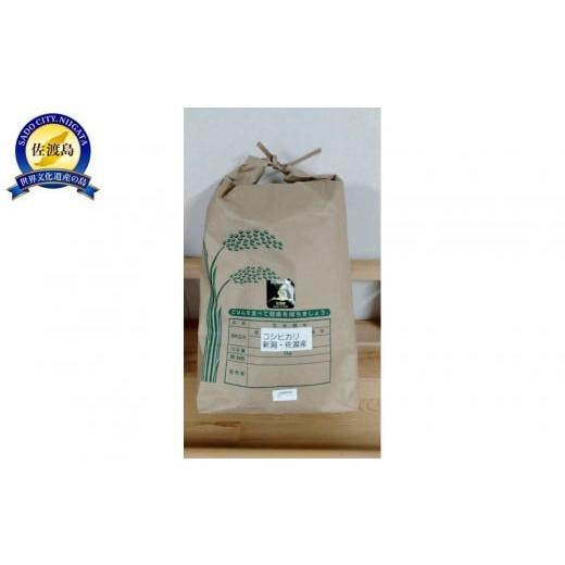 ふるさと納税 米 コシヒカリ 新潟県 佐渡市 精米 令和7年産 佐渡産コシヒカリ5kg 特別栽培低温製法米