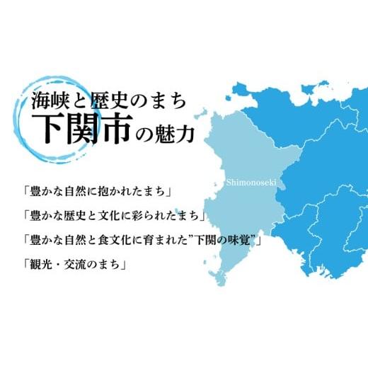 ふるさと納税 フグ 山口県 下関市  お届け指定日必須 熟成 とらふぐ フルコース（5〜6人前）ふぐ 満喫 セット ふぐ計1kg以上 冷蔵 ふぐ刺 切り身 唐揚げ 鍋 皮…の画像