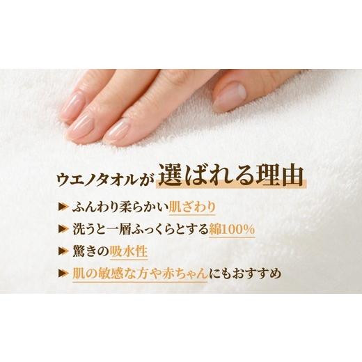 ふるさと納税 タオル・寝具 バスタオル 大阪府 泉大津市  ライトグレー 泉州タオル 部屋干しに最適 ミニバスタオル 2枚セット（同色） ｜ ビッグフェイスタオ…_3