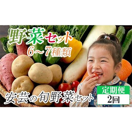 ふるさと納税 セット・詰合せ 高知県 安芸市 定期便2回 「安芸ブランド」新鮮お野菜詰め合わせセット 6〜7種類 | 人気 野菜 詰合せ 詰め合わせ セット 新鮮野…