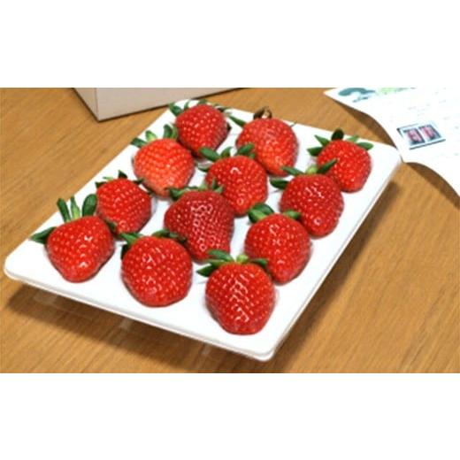 ふるさと納税 いちご 三重県 桑名市 のらくら農園 大粒いちご 合計800g (400g×2ケース) 指定日必須 2026年1月下旬〜3月下旬迄発送予定 / いちご イチゴ 苺…