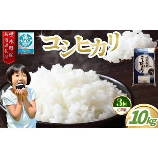 ふるさと納税 米 コシヒカリ 栃木県 真岡市 3回定期便 お米アドバイザー 泉 智が厳選 栃木県産コシヒカリ 10kg | コシヒカリ こしひかり お米 米 真岡産 栃木…