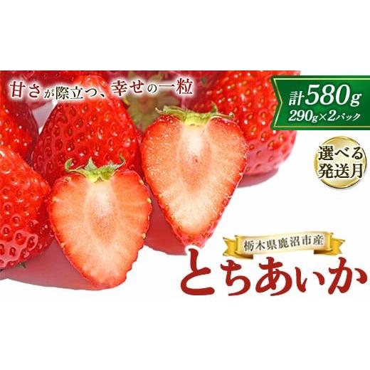 ふるさと納税 いちご 栃木県 鹿沼市 4月発送 鹿沼市産 とちあいか(290g×2パック) 1月発送/2月発送/3月発送/4月発送 | いちご イチゴ 苺 栃木県 果物 …