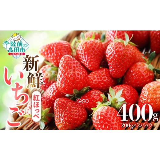 ふるさと納税 いちご 岩手県 陸前高田市 先行予約/数量限定 新鮮いちご 品種:紅ほっぺ 約400g (200g×2パック) 訳あり サイズ不揃い いちご フルーツ 旬 小…