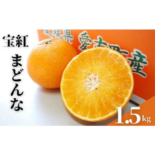 ふるさと納税 みかん・柑橘類 愛媛県 愛南町 先行予約 宝紅 まどんな 愛果 試28号 約1.5kg 約8玉 吉本農園 減農薬 除草剤不使用 有機肥料使用 果物 マドンナ …
