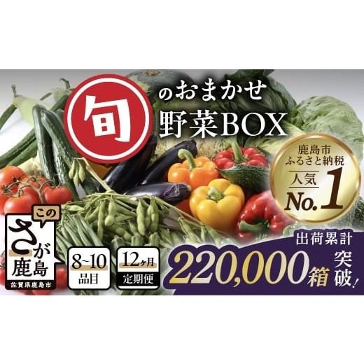 ふるさと納税 セット・詰合せ 佐賀県 鹿島市 定期便 野菜 12回 野菜定期便 12回 旬のおまかせ野菜BOX (8〜10品目) | 定期便 野菜 定期便 12回 12ヶ月 野菜詰め…