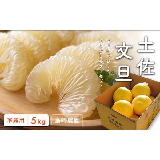 ふるさと納税 いちじく 高知県 宿毛市 土佐文旦 約5kg 家庭用 約5kg 家庭用