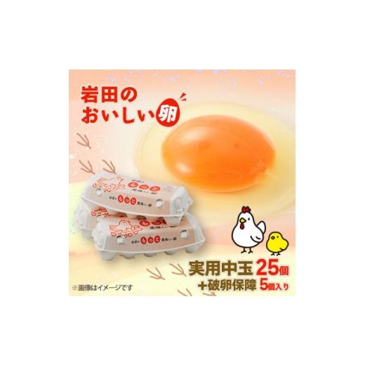 ふるさと納税 卵(鶏、烏骨鶏等) 群馬県 榛東村 毎月定期便 岩田のおいしい卵実用中玉25個+破卵保障5個(10個入り×3パック)全3回 4079447