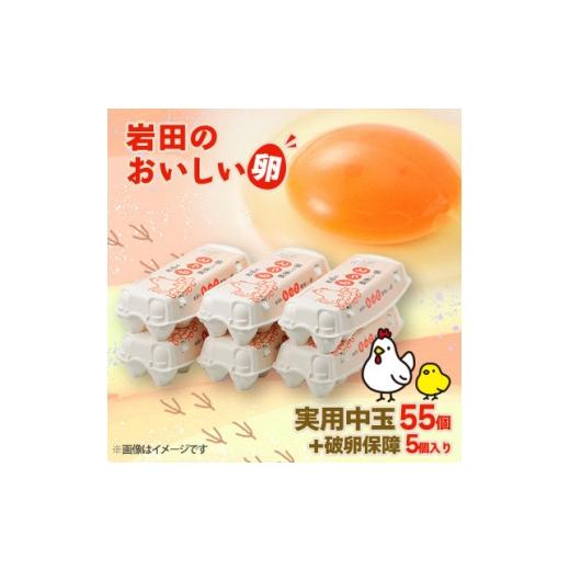 ふるさと納税 卵(鶏、烏骨鶏等) 群馬県 榛東村 毎月定期便 岩田のおいしい卵 実用中玉55個+破卵保障5個 (10個入り×6パック)全3回 4079453