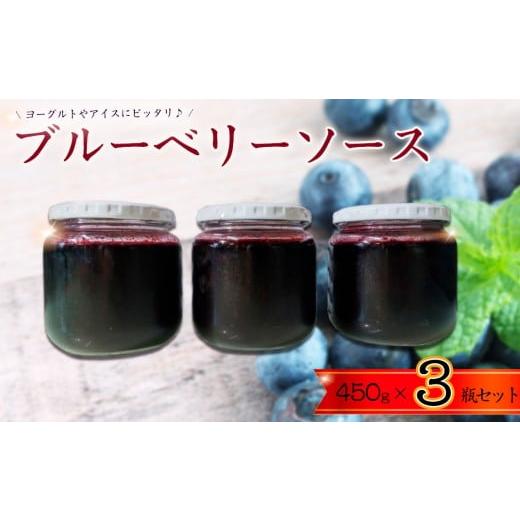 ふるさと納税 加工品等 千葉県 野田市 No.359 ブルーベリーソース3瓶セット / ブルーベリー 砂糖 レモン果汁 シンプル ヨーグルト アイス お菓子 パン おやつ…