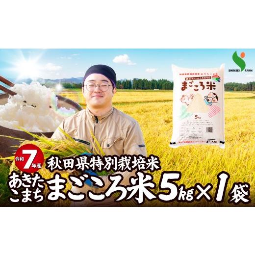ふるさと納税 米 あきたこまち 秋田県 大館市 令和7年産秋田県特別栽培米あきたこまち「まごころ米」5kg / 米 5kg あきたこまち 令和7年産 特別栽培…