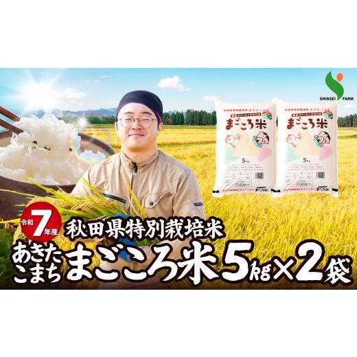 ふるさと納税 米 あきたこまち 秋田県 大館市 令和7年産秋田県特別栽培米あきたこまち「まごころ米」10kg 110P9005 / 米 10kg あきたこまち 令和7年産 特別…