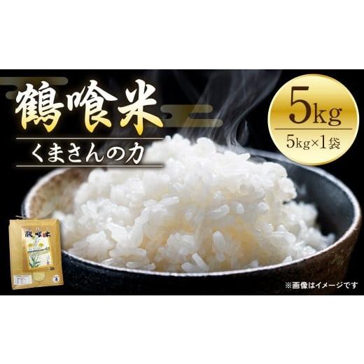 ふるさと納税 米 熊本県 八代市 [令和7年産] 熊本県八代市産 鶴喰米 くまさんの力 精米 5kg 米 お米 精米 白米 ごはん ご飯 熊本