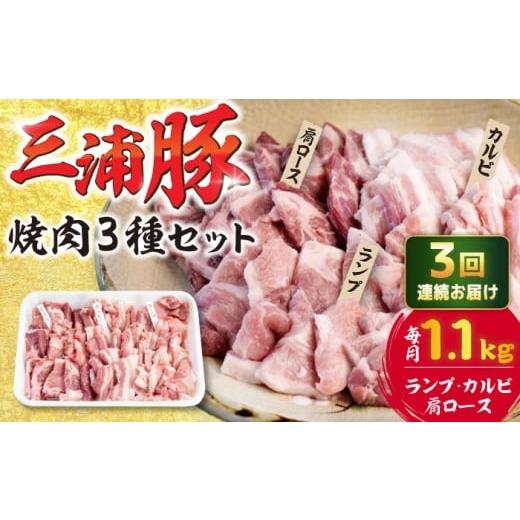 ふるさと納税 豚肉 ロース 岐阜県 恵那市 3回定期便 豪華 三浦豚 1.1kg 焼肉セット 肩ロース カルビ ランプ / ブランド豚 国産 ポーク 大容量 恵那市 / あ…