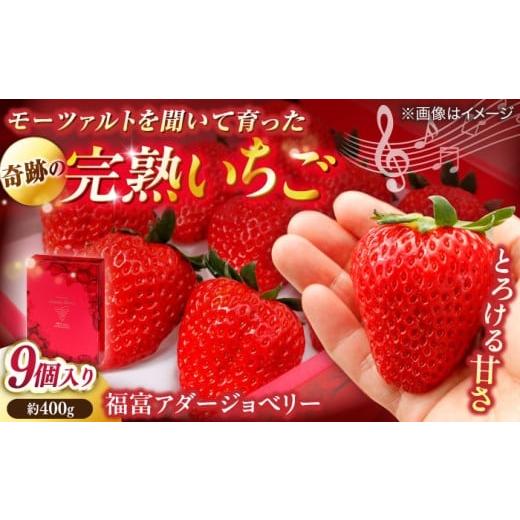 ふるさと納税 いちご 島根県 松江市 数量限定20セット 島根県松江市「のつ農園」 完熟いちご「福富アダージョベリー」9個入り?島根県松江市/山陰中央テレ…